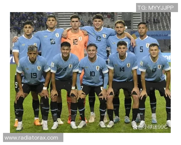 阿根廷U20对决马里U20青年足球赛精彩瞬间回顾与分析